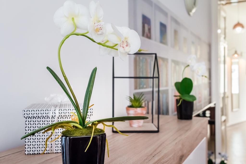 Bpr Purehome Apartment Budapest Exterior foto
